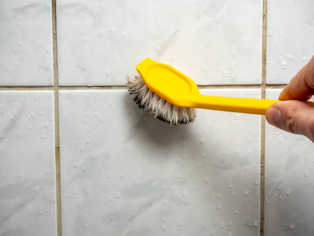 Best Home Mold Removal  in Wildwood, FL