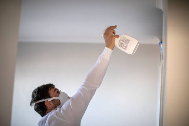 Best Mold Damage Repair  in Wildwood, FL