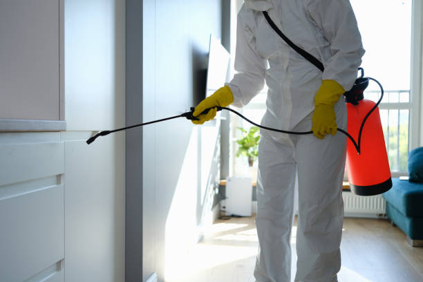 Best Office Mold Removal Services  in Wildwood, FL