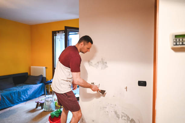 Best Mold Cleaning Services  in Wildwood, FL